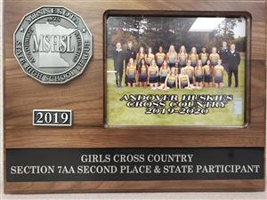 2018 - 19 Section 7AA Second Place and  State Participant.jpg 